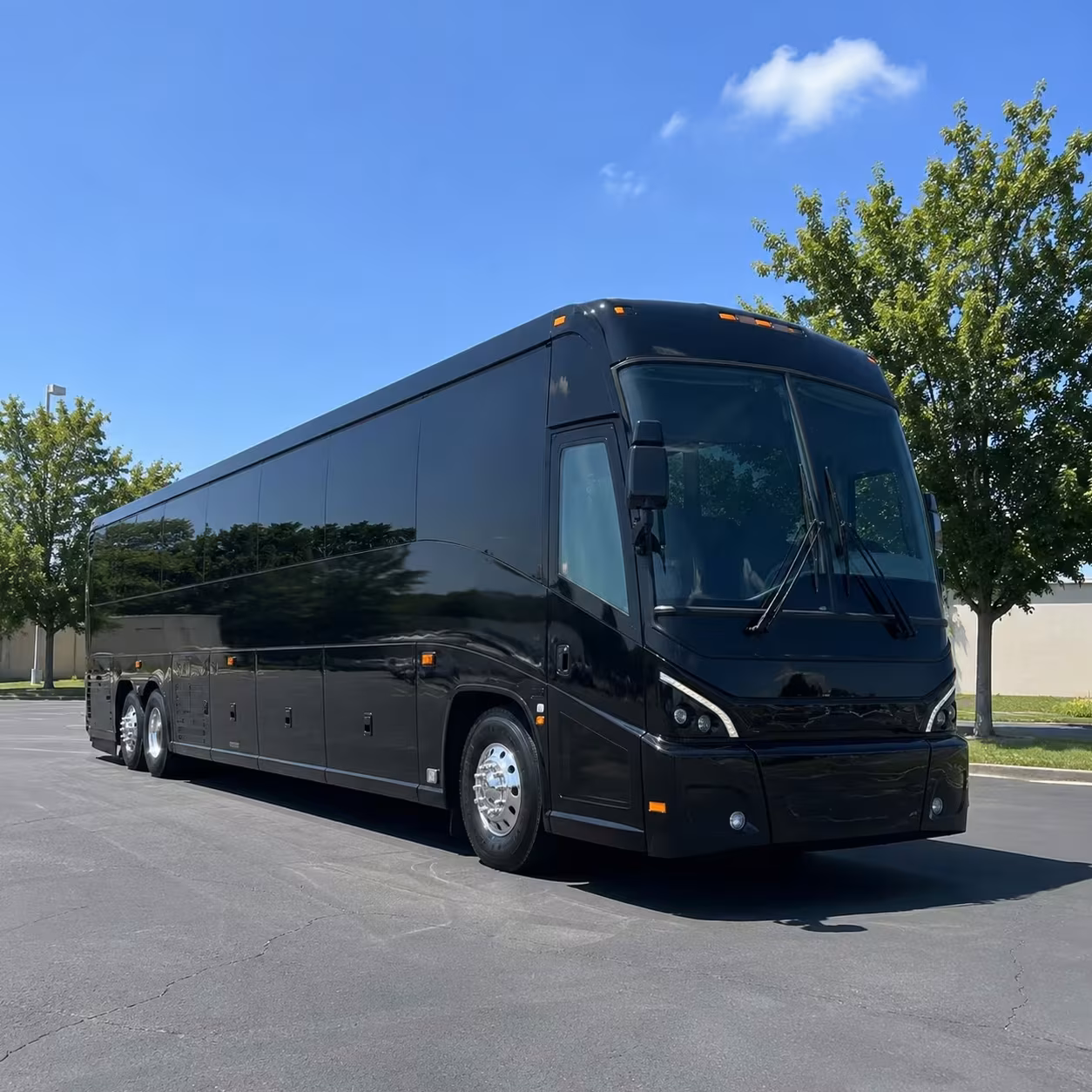bellevue government group shuttles to sea airport and cruise piers